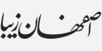 شرکت خدمات طراحی و توسعه سایت، اینترنت و شبکه 11 Asset 1 (11)