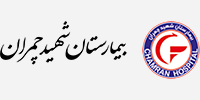 شرکت خدمات طراحی و توسعه سایت، اینترنت و شبکه 13 Chamran