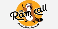 شرکت خدمات طراحی و توسعه سایت، اینترنت و شبکه 30 Asset 1 (28)